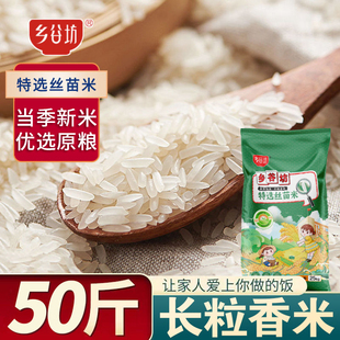 乡谷坊大米50斤丝苗米长粒香米新米象牙米10斤猫牙大米煲仔饭大米