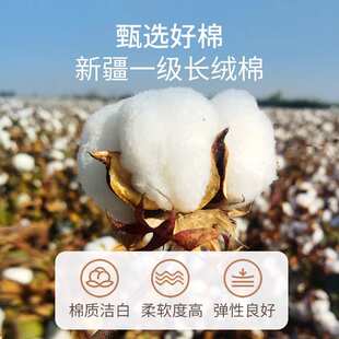 新疆棉花床垫褥子棉絮垫被棉被秋冬加厚床铺底垫背冬天榻榻米专用