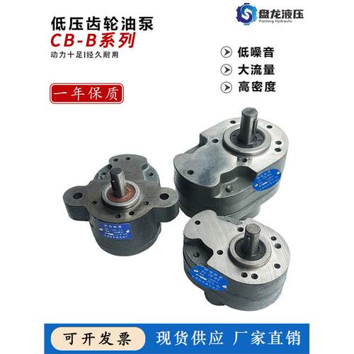 液压油泵齿轮泵CB-B10/B4