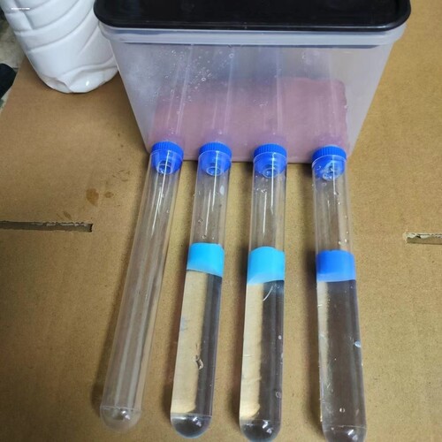 海绵堵水试管玻璃 养蚂蚁用蚂蚁工坊试管巢小白懒人便捷 性价之王