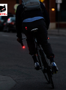 CATEYE猫眼自行车灯把堵把塞车把灯公路LED把套警示灯骑行装备单