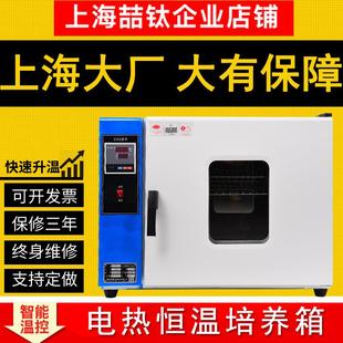 电热恒温培养箱 不锈钢内胆培养箱 303 5恒温培养箱
