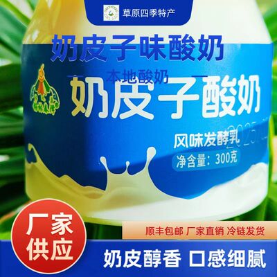 奶皮子酸奶风味发酵乳内蒙古300g