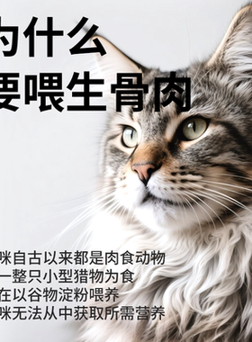 【富养囤货】 皓宠全价主食鲜食生骨肉39g*52包/2kg多猫家庭