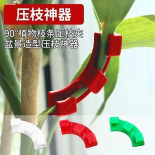 盆景定型苗木矫正枝条拿弯器果树拉枝弯枝开角苗木压枝器园艺工具