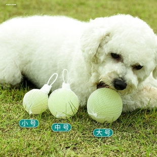 宠物夜光球狗狗玩具弹力球发光球磨牙耐咬解闷实心球金毛泰迪训犬