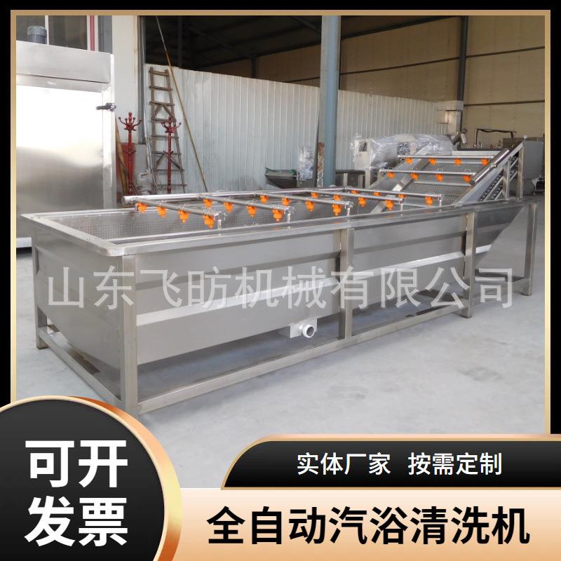 酱菜汽浴清洗机果蔬清洗脱盐池酱腌菜用气泡清洗加工设备