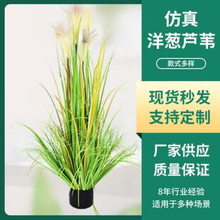 仿真狗尾草盆栽大型仿真芦苇干花蒲苇草落地摆件婚庆装饰假花盆栽