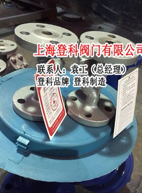 GL41H-25C DN150 Y型过滤器 水过滤器 铸钢 PN25 管式过滤器