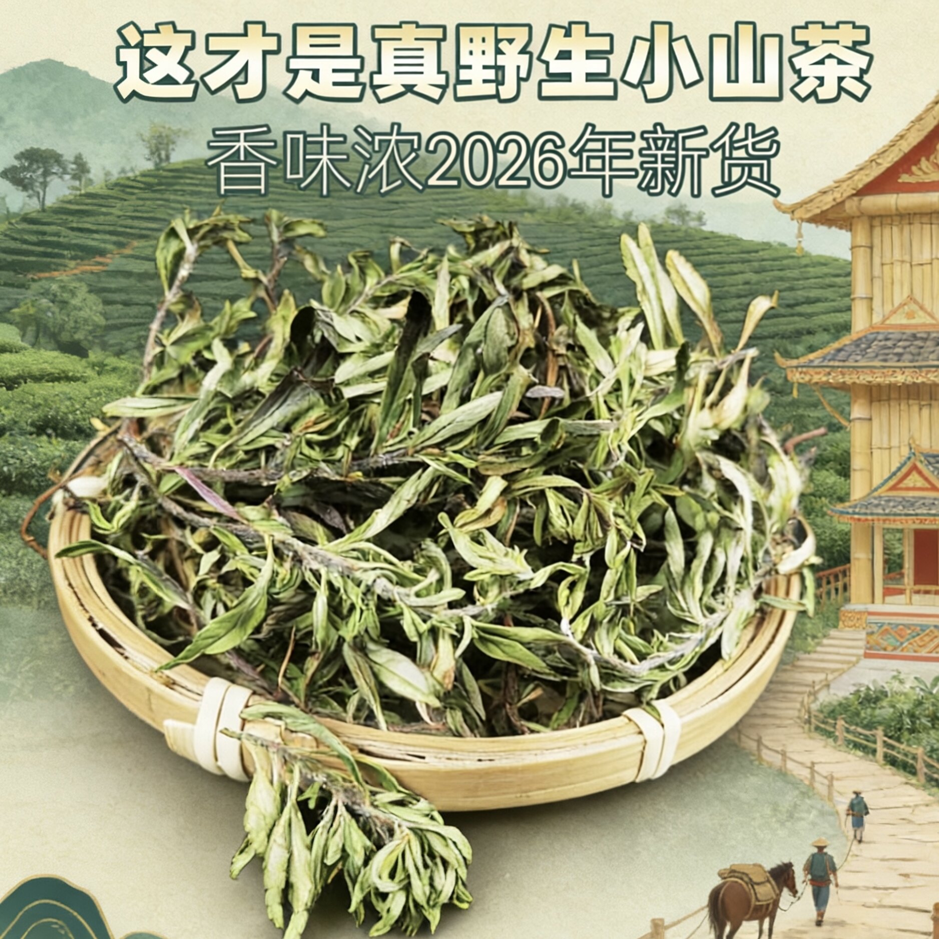 云南野生小山茶烧烤凉茶野山茶 东紫苏 凤尾草松毛茶梭罗茶