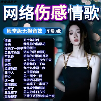 【热门催泪伤感情歌--车载U盘】