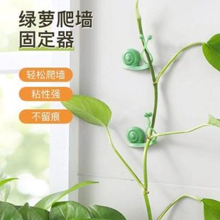 绿萝绿植爬墙固定神器无痕家用扣攀爬室内蔓藤植物墙上挂钩固定夹