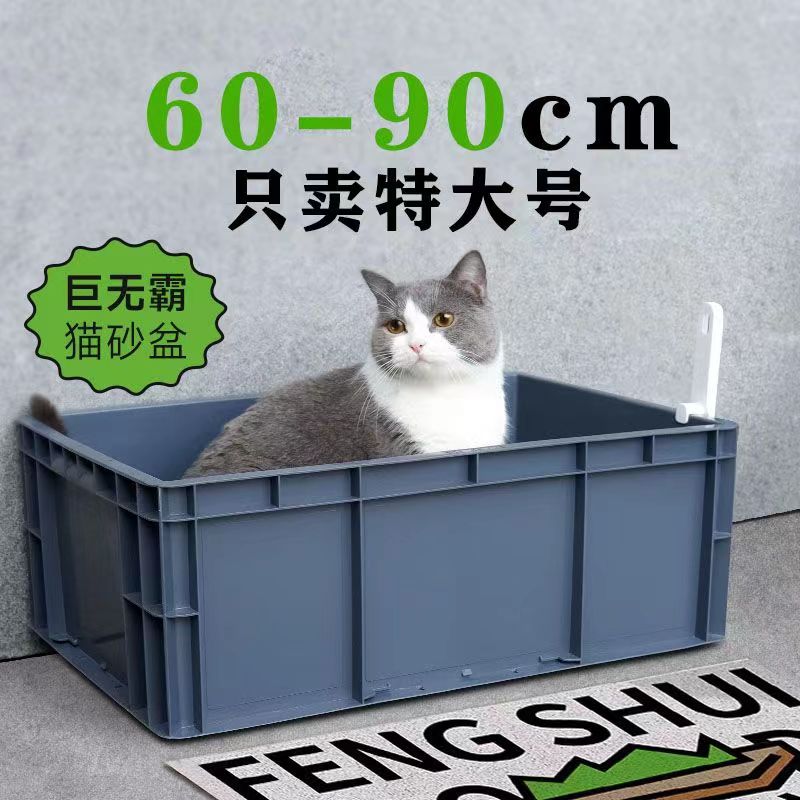 猫砂盆超大号80cm缅因猫60斤集装箱超级大特大号周转全开放40巨型