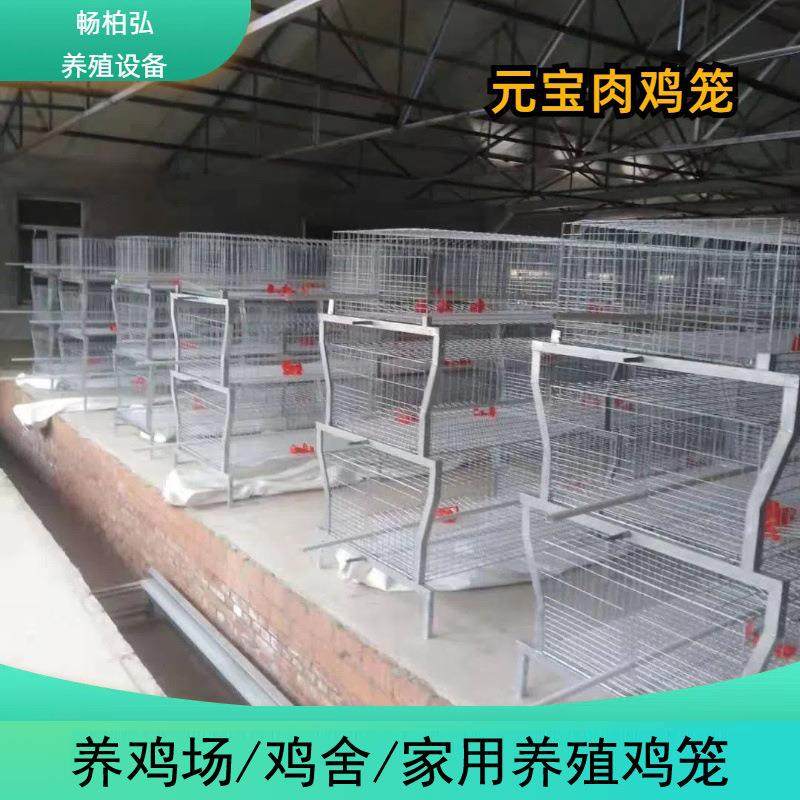 元宝笼养殖成年肉鸡笼全自动传送喂料清粪养殖厂鸡用养殖笼可外贸