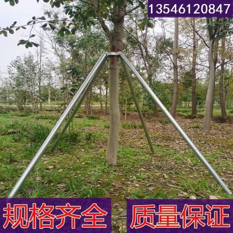 抱金属乔木支撑架绿色树木防风钢管园林箍支撑Q杆支撑固定器树大