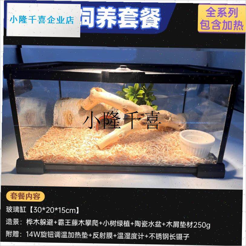宠物蛇饲养套装爬虫o箱雨林缸造景玻璃缸蝎蜥蜴守宫蛇苗繁殖保温l