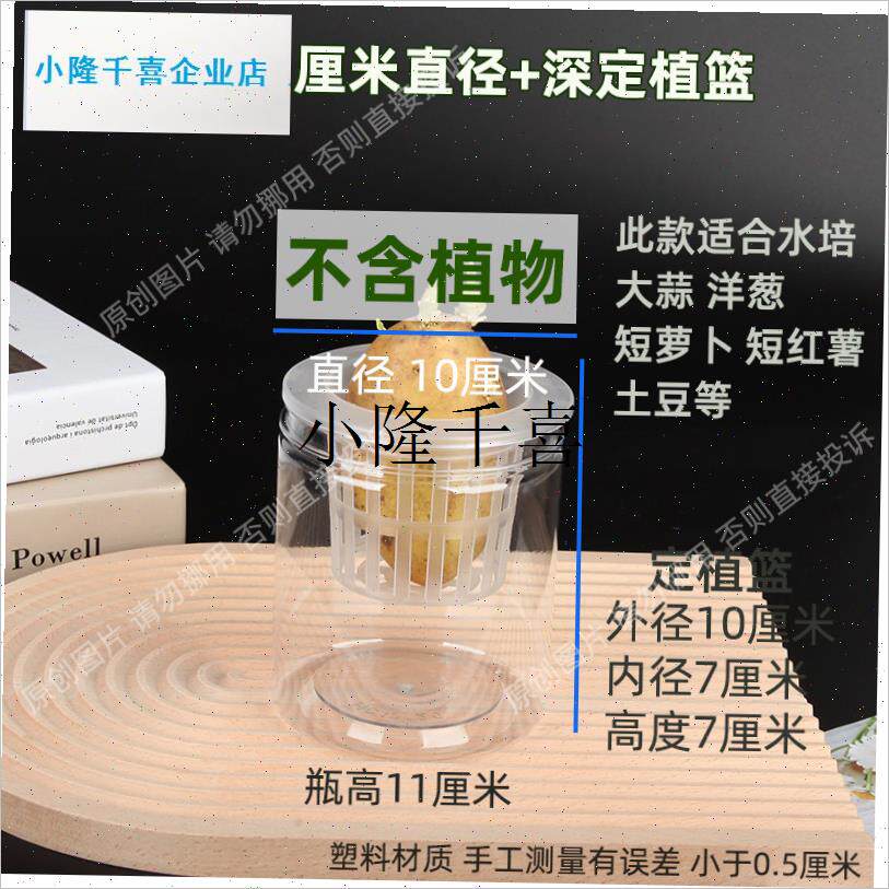 水培洋葱器皿塑料透明圆柱w形花盆土豆红薯大蒜蔬菜定植篮种植瓶l