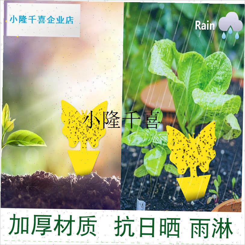 双面黄色粘虫板强力诱虫纸贴黏小黑飞虫蝇蜂Q诱捕器园艺防虫片粘l