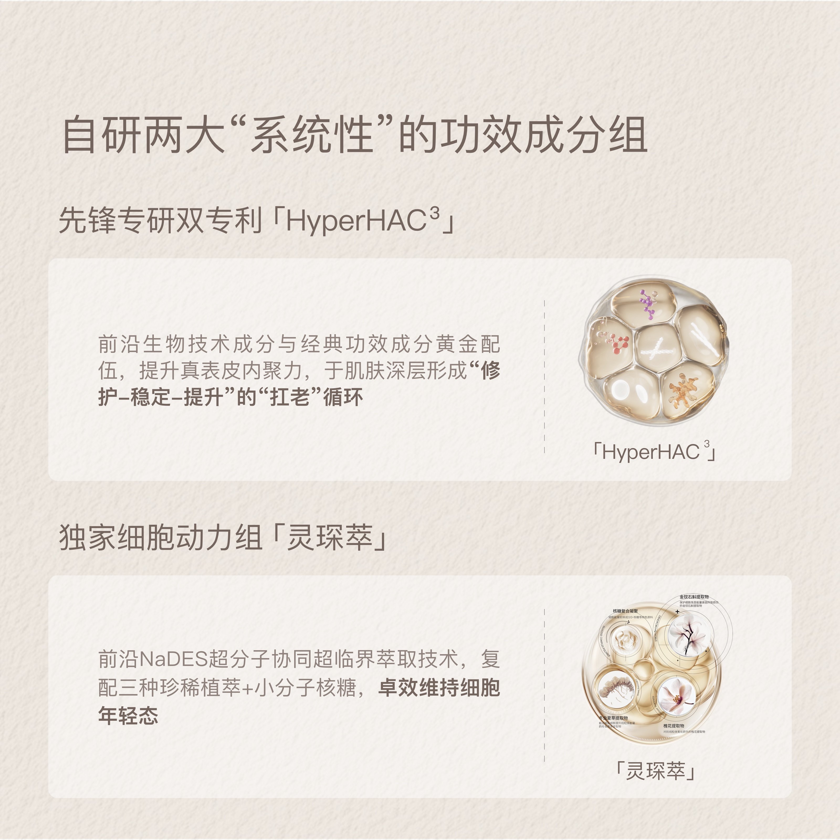 【活动已结束】