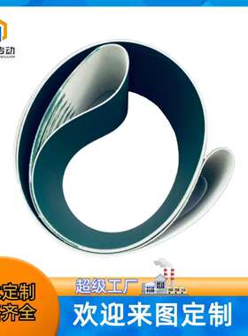 工业输送带 PVC PVG 绿色传送带 现货厂家直发