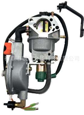 跨境双燃料化油器188F 190F GX390 GX420 LPG NG 5KW-8KW化油器