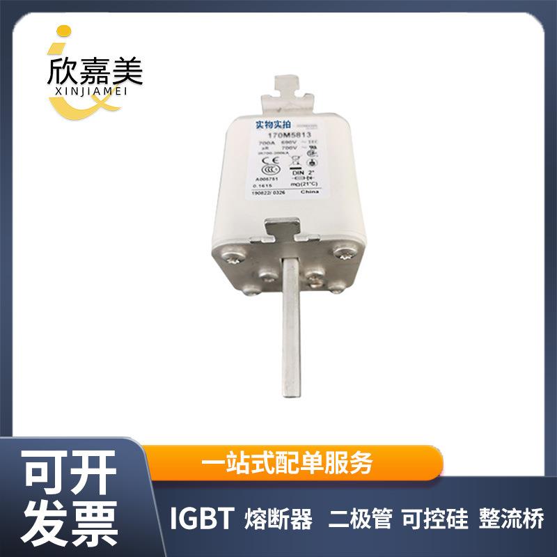 170M5813 170M5959 快速熔断器 保险丝 电子元器件 量大价优