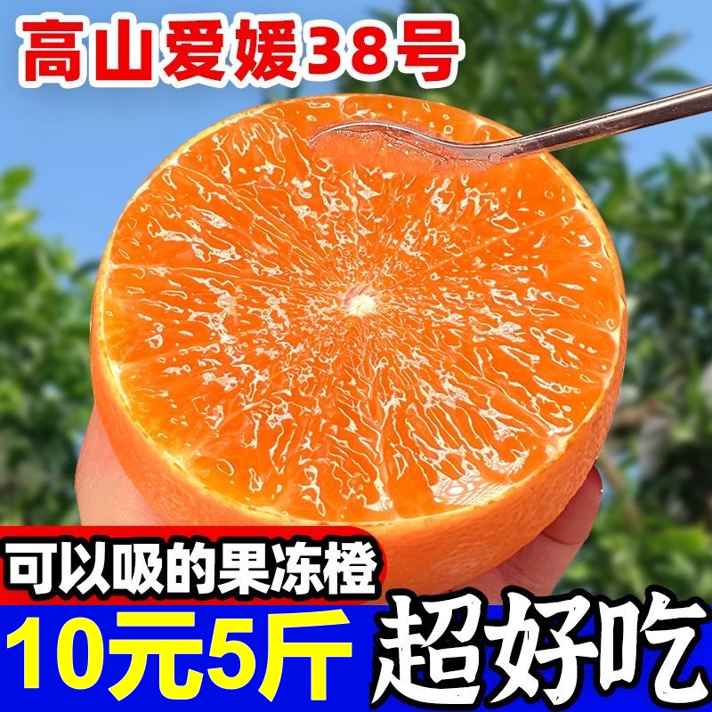 爱媛果冻橙38号橙子新鲜水果9斤
