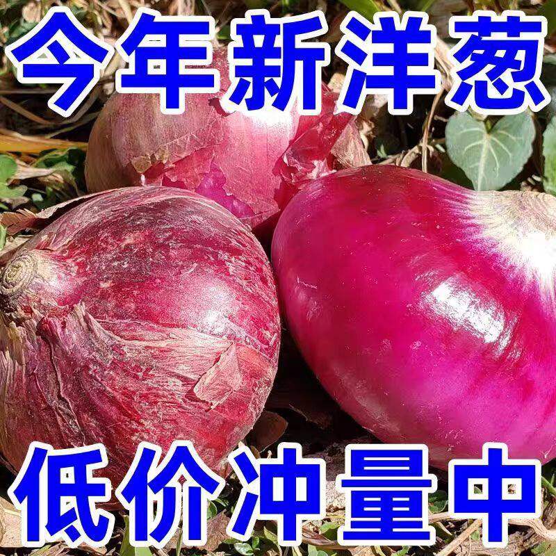 云南紫皮水果大洋葱9新鲜斤小洋葱甜味生吃蔬菜不辣红皮大圆葱头,水产肉类/新鲜蔬果/熟食,洋葱/红葱头,淘宝优惠券,粉丝福利购,淘宝优惠卷
