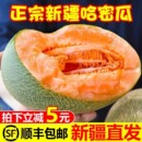现摘网纹瓜西州蜜 包邮 正宗哈密瓜脆甜9斤当季 新鲜水果甜一整箱