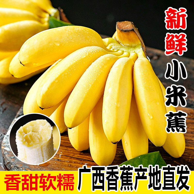 广西正宗小米蕉5斤新鲜香蕉芭蕉水果香焦自然熟整箱苹果蕉粉蕉甜