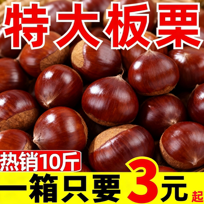 板栗生新鲜当季野生板家整箱2025