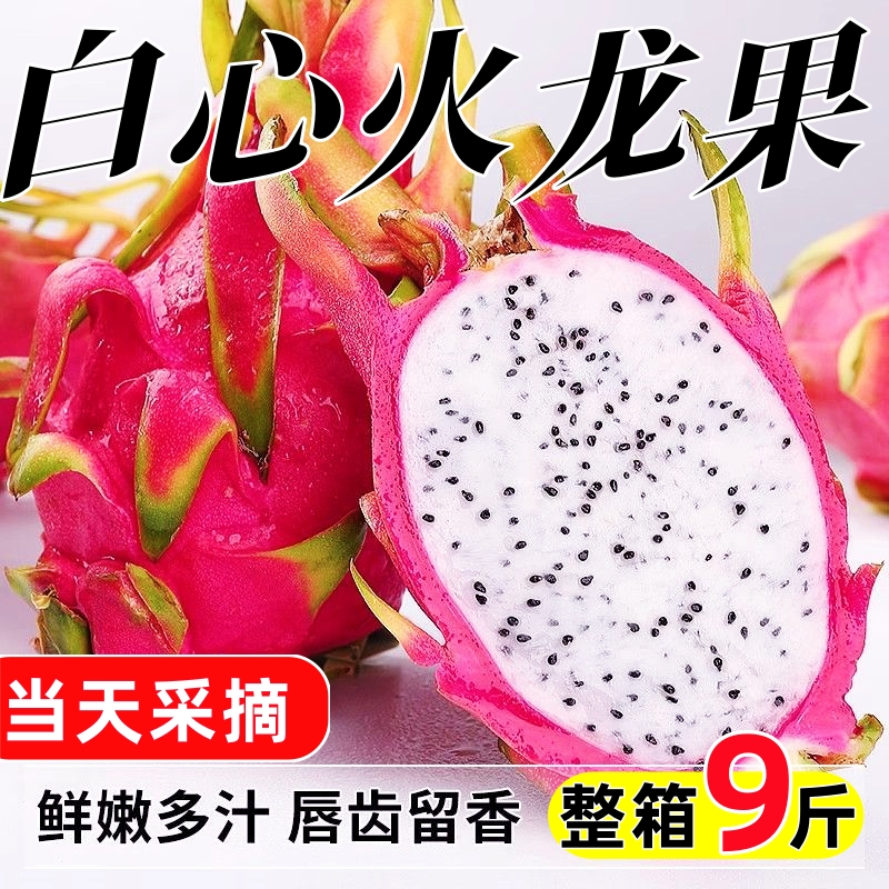 越南白心火龙果新鲜9斤应当季热带水果白肉火龙果整箱批发包邮10