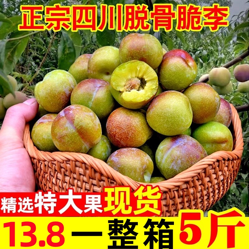 四川现摘脱骨脆甜李子5斤包邮