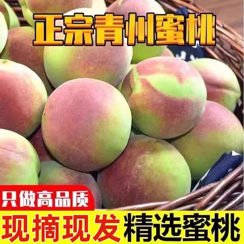 山东青州蜜桃新鲜水果桃子脆桃