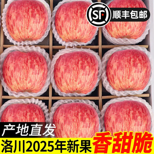 正宗陕西洛川红富士苹果冰糖心脆甜新鲜水果精选大果现摘现发9斤