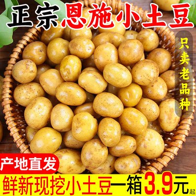 恩施现挖新鲜黄心小土豆整箱
