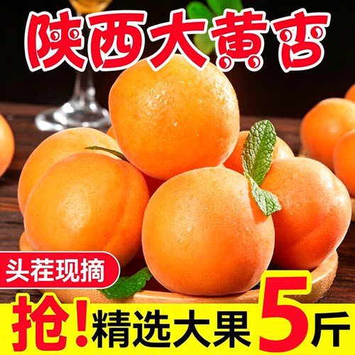 陕西大黄杏子现摘酸甜整箱