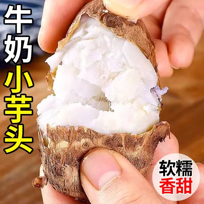 正宗牛奶小芋头新鲜芋艿香芋农家香甜软糯毛芋头槟榔芋整箱包邮9