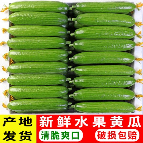 当季新鲜水果黄瓜整箱