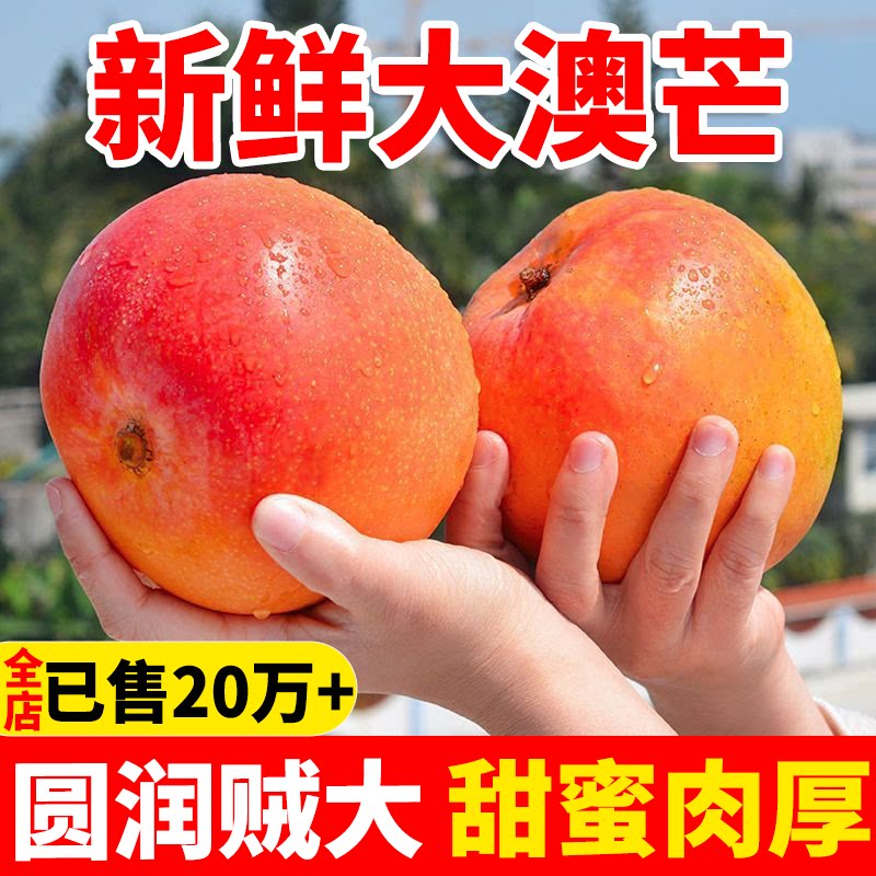 当季新鲜澳芒凯特芒10斤整箱