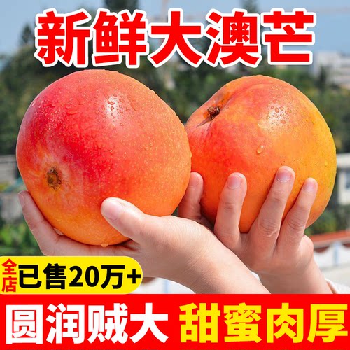 当季新鲜澳芒凯特芒10斤整箱