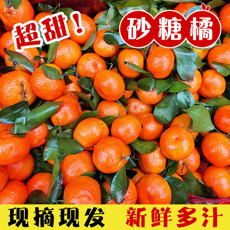 10斤正宗当季包邮无籽精品