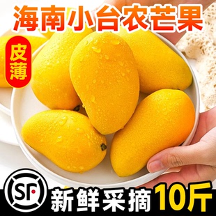 正宗海南小台农芒芒果新鲜10斤应当季水果整箱包邮大热带特产芒果