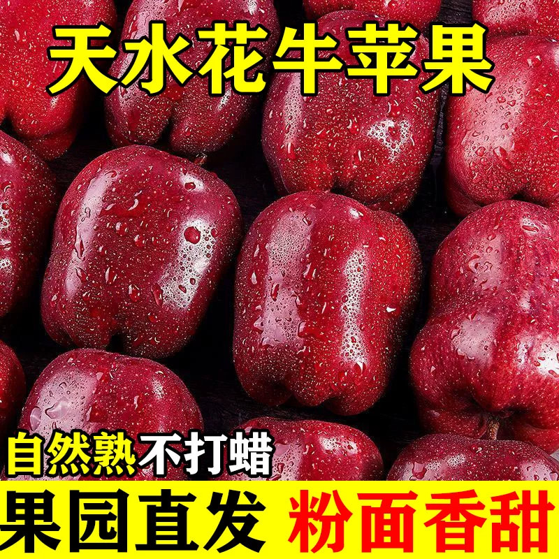 甘肃天水花牛苹果糖心现摘整箱
