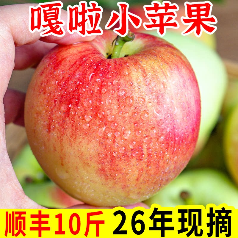 正宗陕西红富士苹果嘎啦苹果水果当季整箱早熟红富士现摘现发10斤