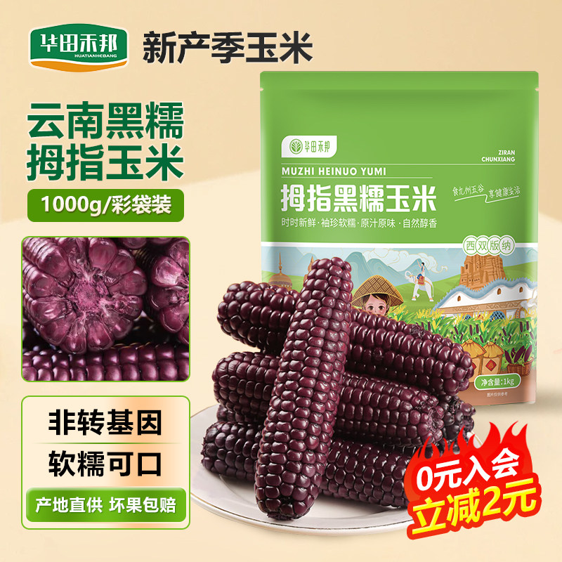 华田禾邦云南新鲜拇指黑糯玉米图片