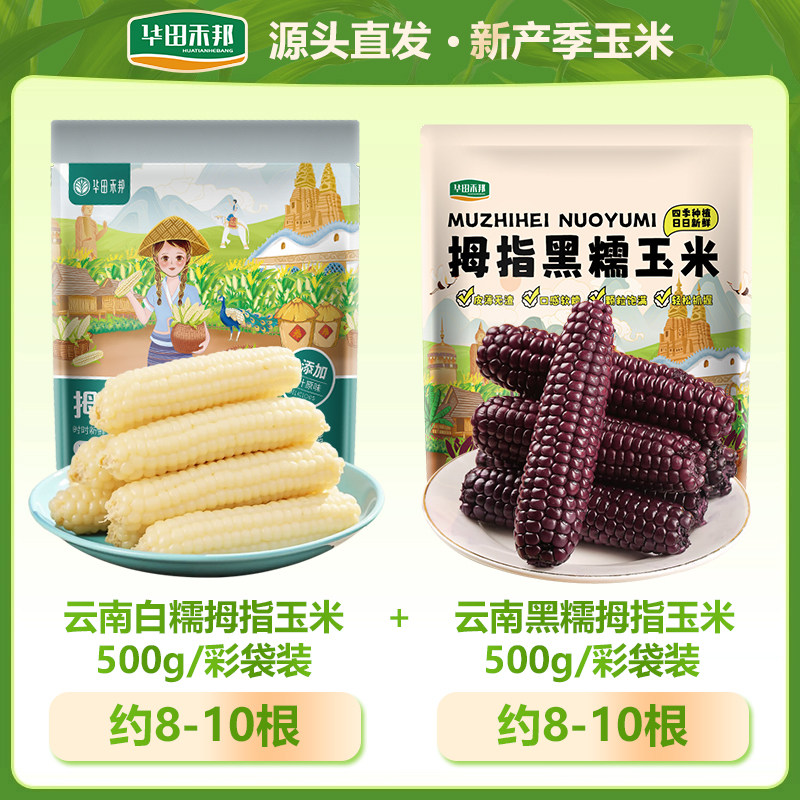 【黑白组合】云南西双版纳拇指玉米儿童宝宝新鲜糯小手指玉米棒