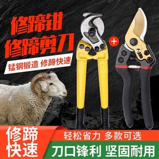修牛羊蹄剪刀修猪蹄钳子剪蹄神器兽用牛指甲剪牛蹄修Z理专用工具