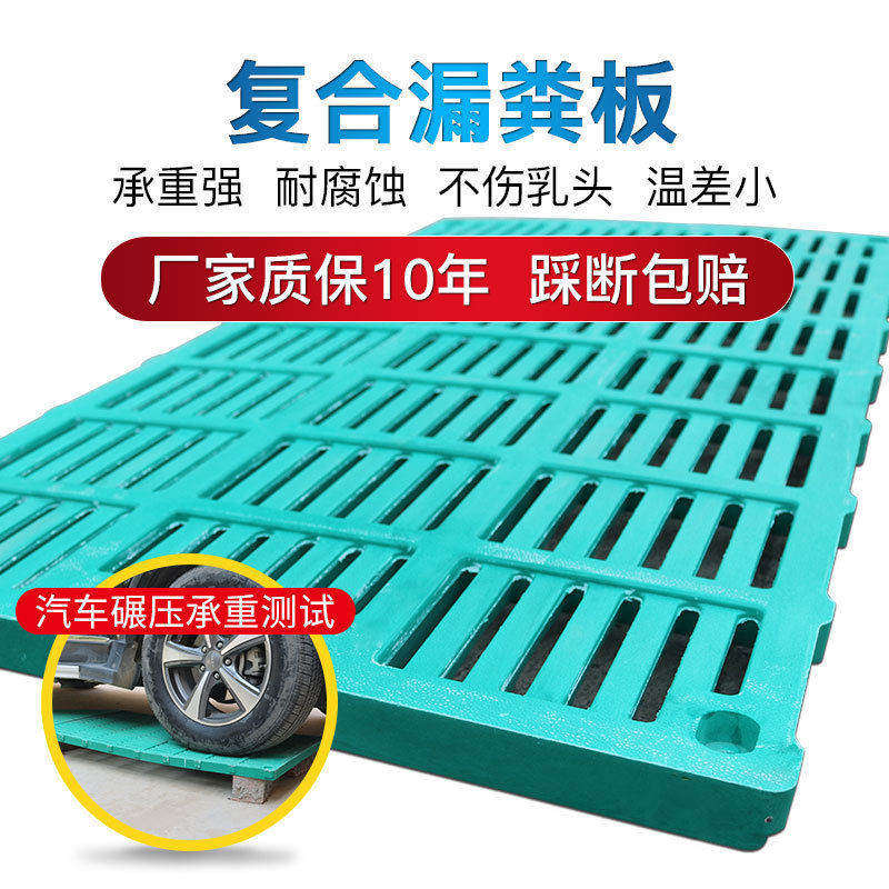养殖漏粪板塑料猪用漏粪板复合板模具羊用漏粪R地板塑料模具模具