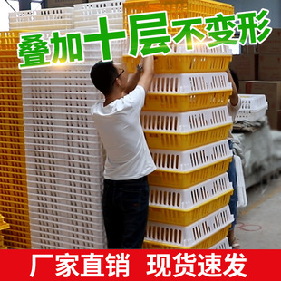 兔笼鸽 鸡笼周转箱塑料运输笼子成鸡鸭鹅周转筐鸡用运输S筐加厚装